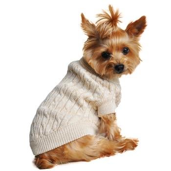 Dog Apparel Pawprints Boutique 201 E Main St Charlottesville Va